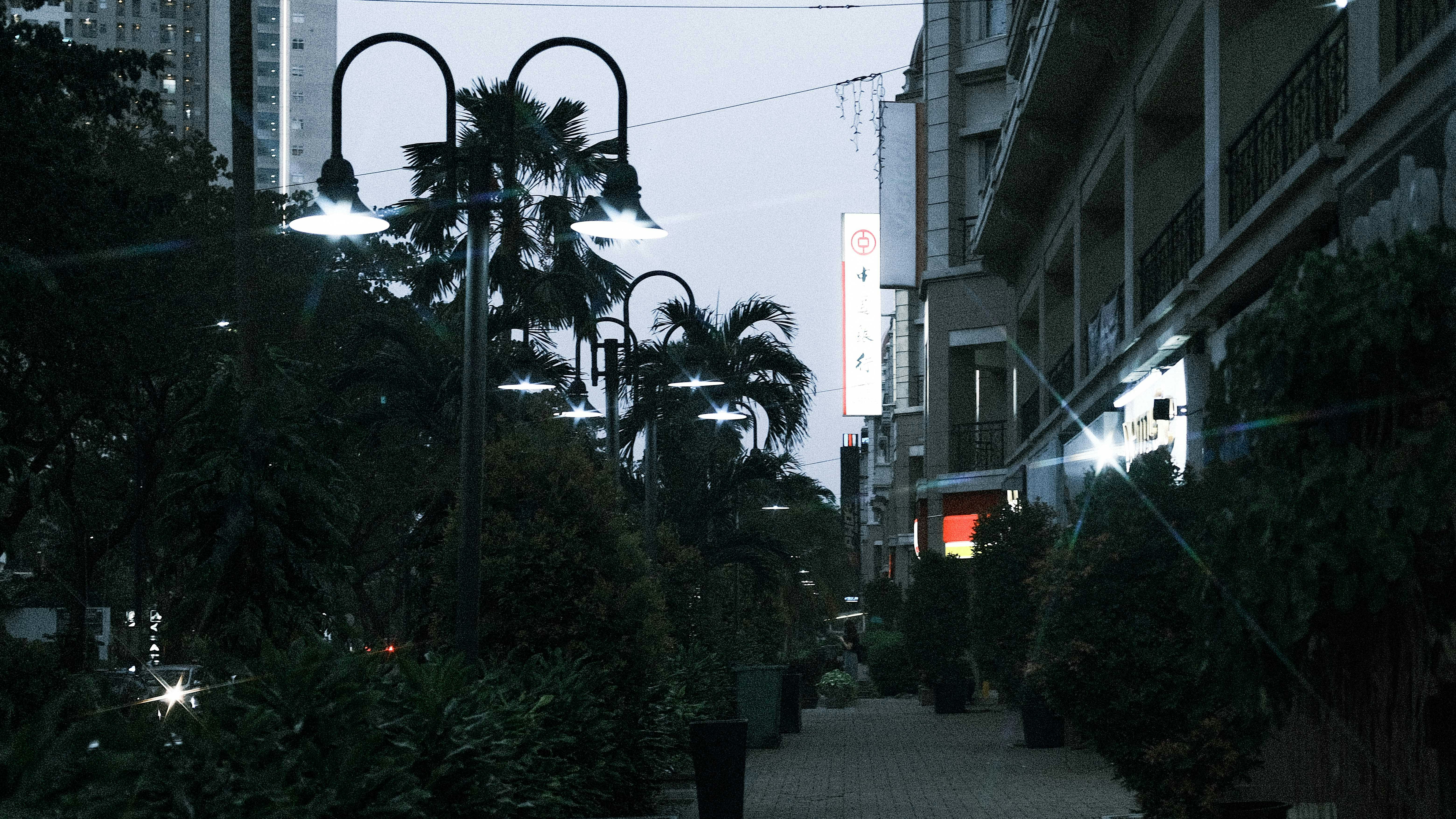 〇〇川沿いの桜並木で、桜をバックに談笑する地元の人々の姿