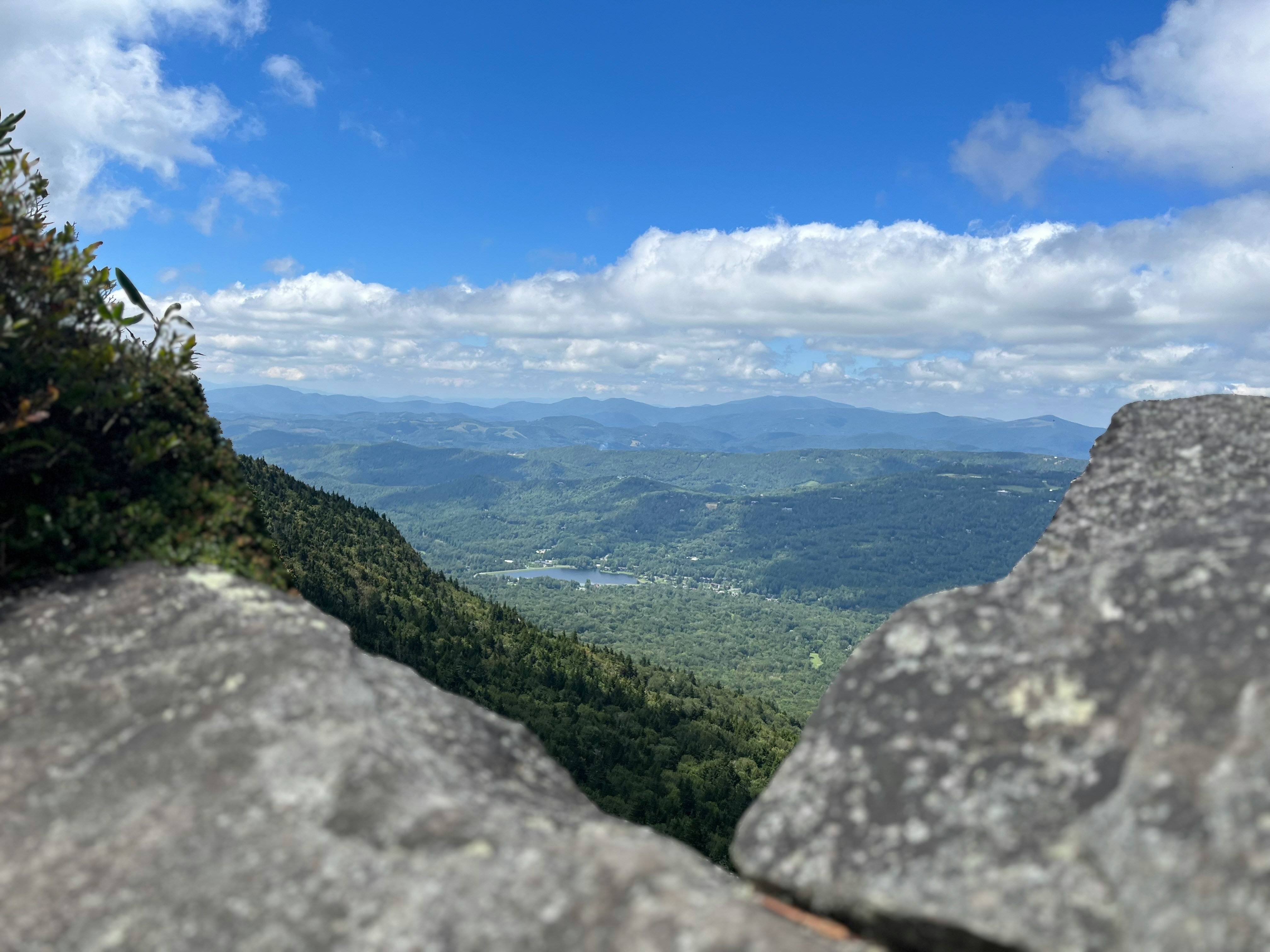 公園の広々とした芝生エリアで、ピクニックを楽しむ家族の様子