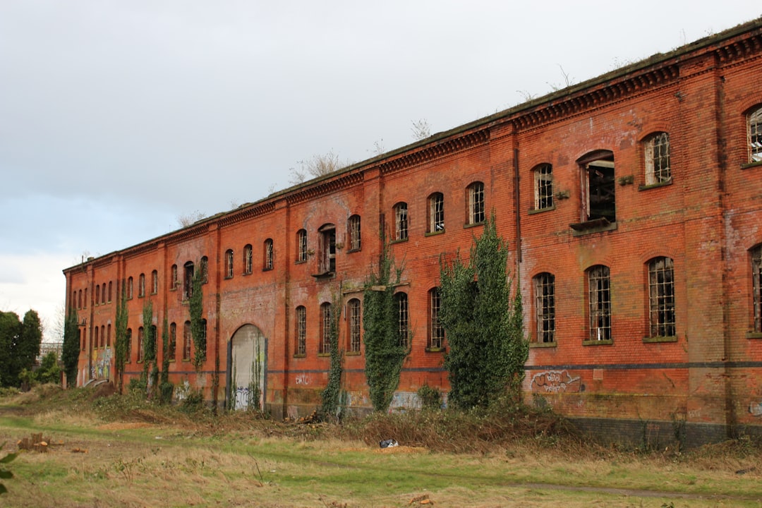 冒険の森の入り口