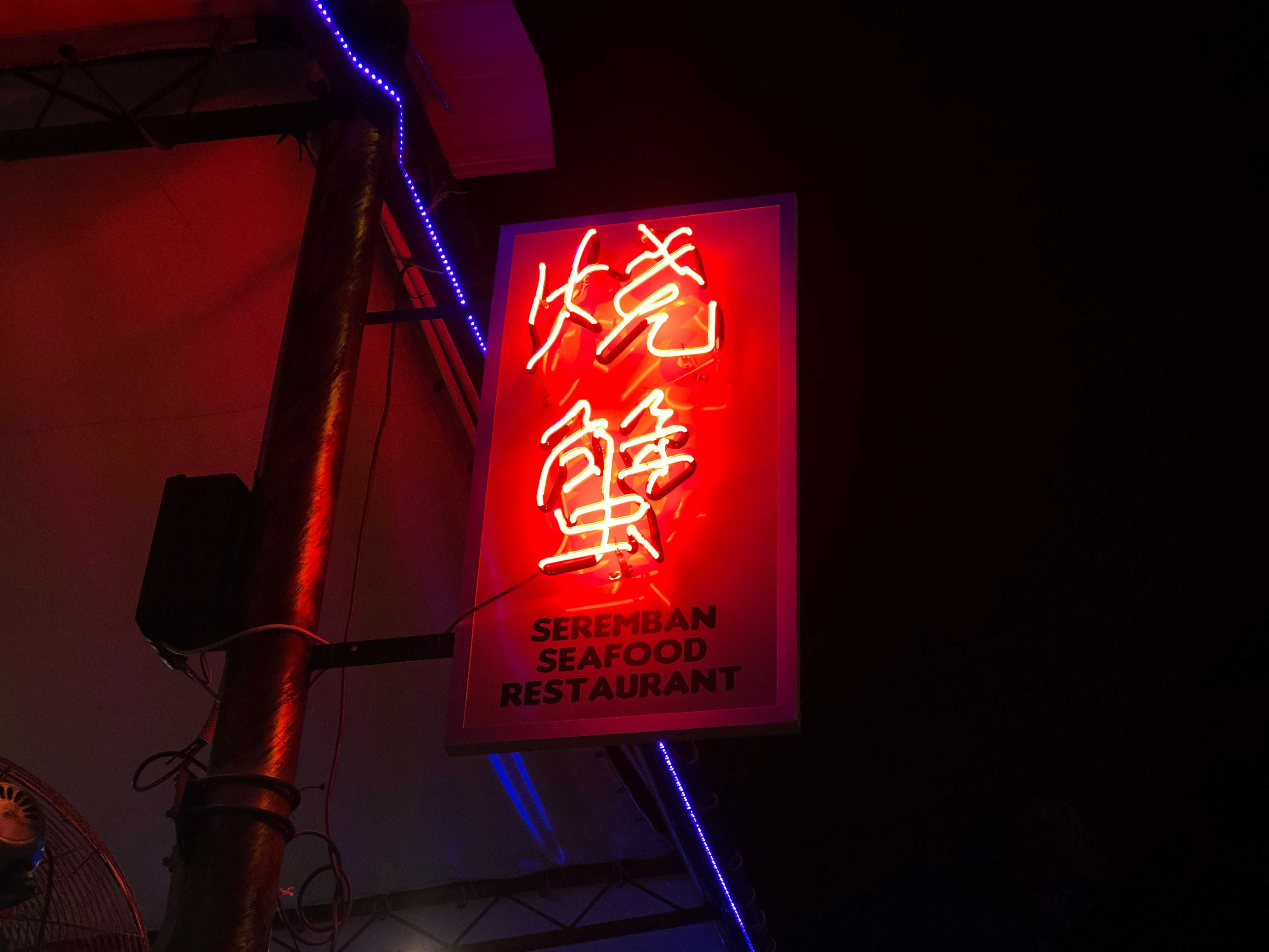 糸島のMTBコースをマウンテンバイクで駆け抜ける人の写真