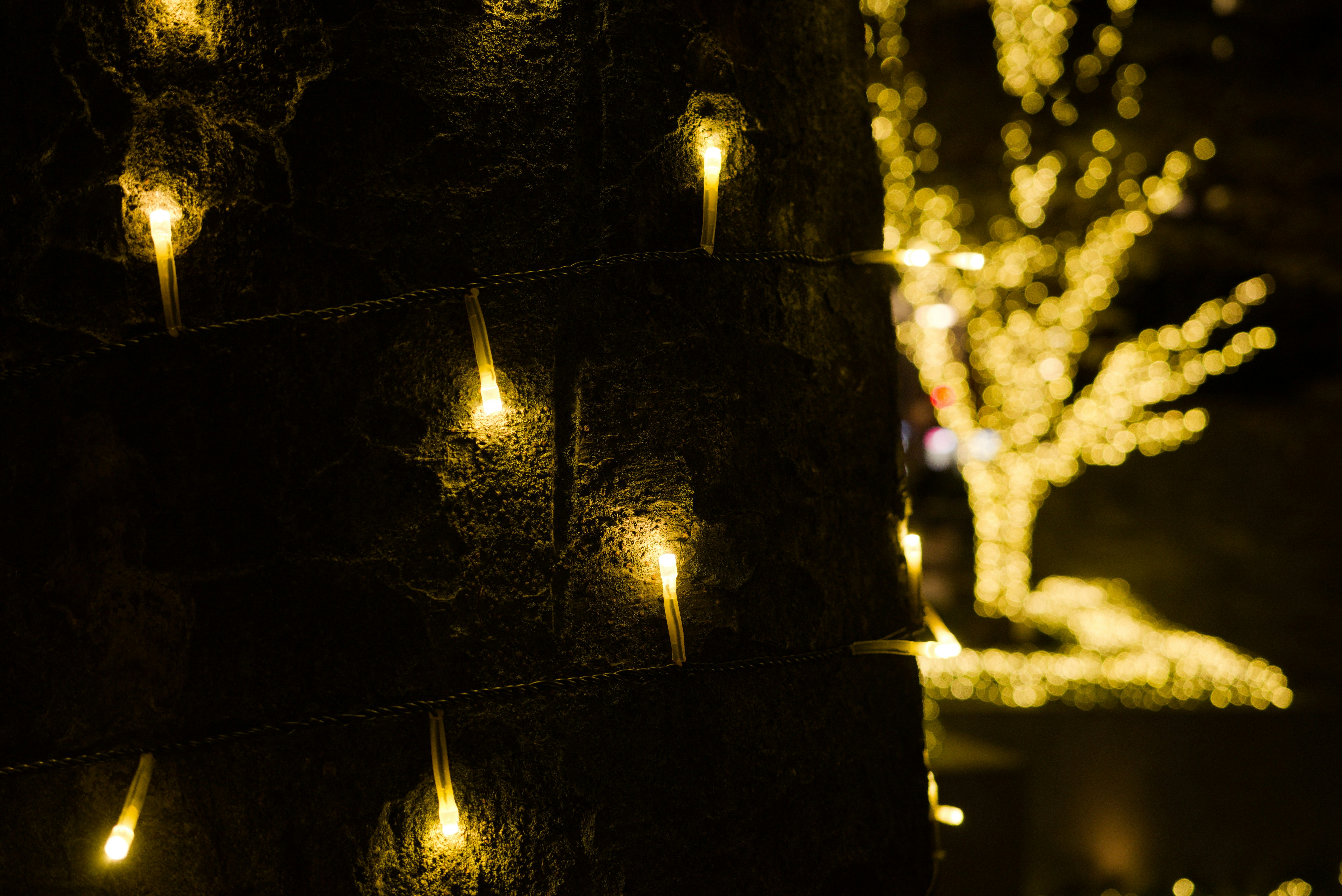 大名ソフトクリームのソフトクリーム