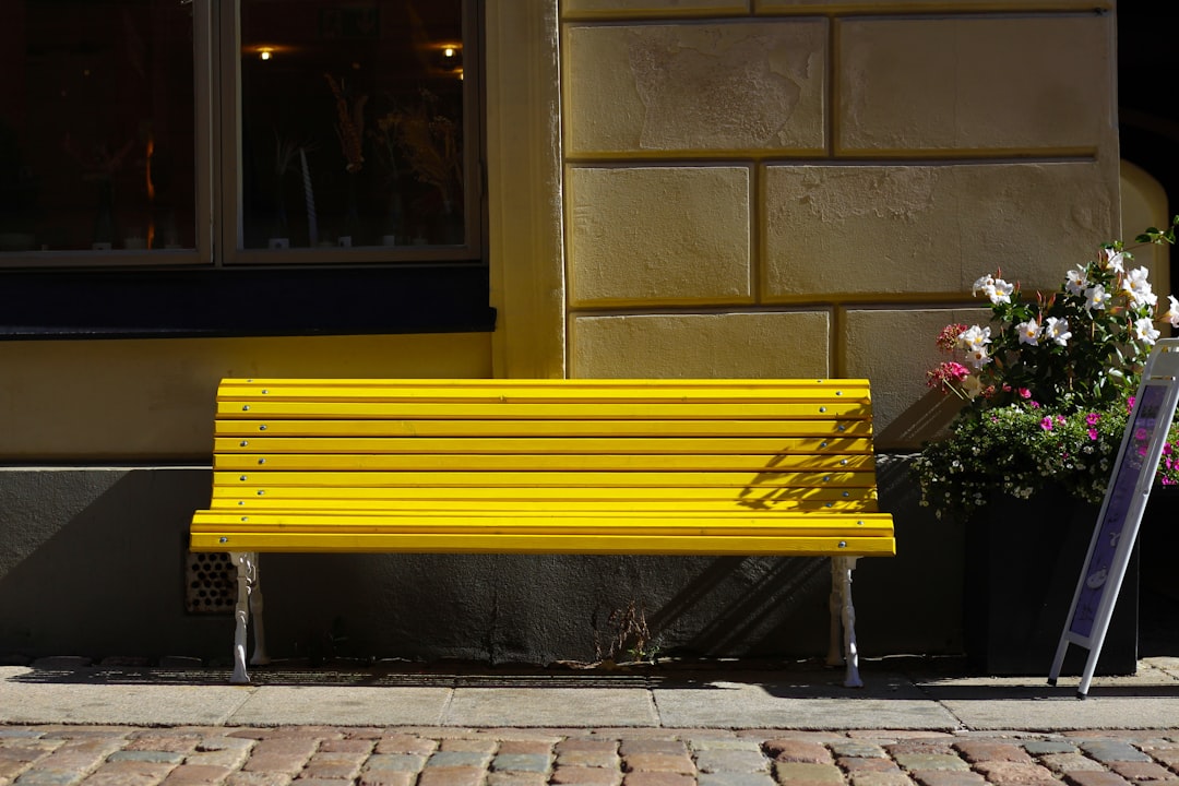 河川敷の広場にある、流木や石でできた手作りの秘密基地