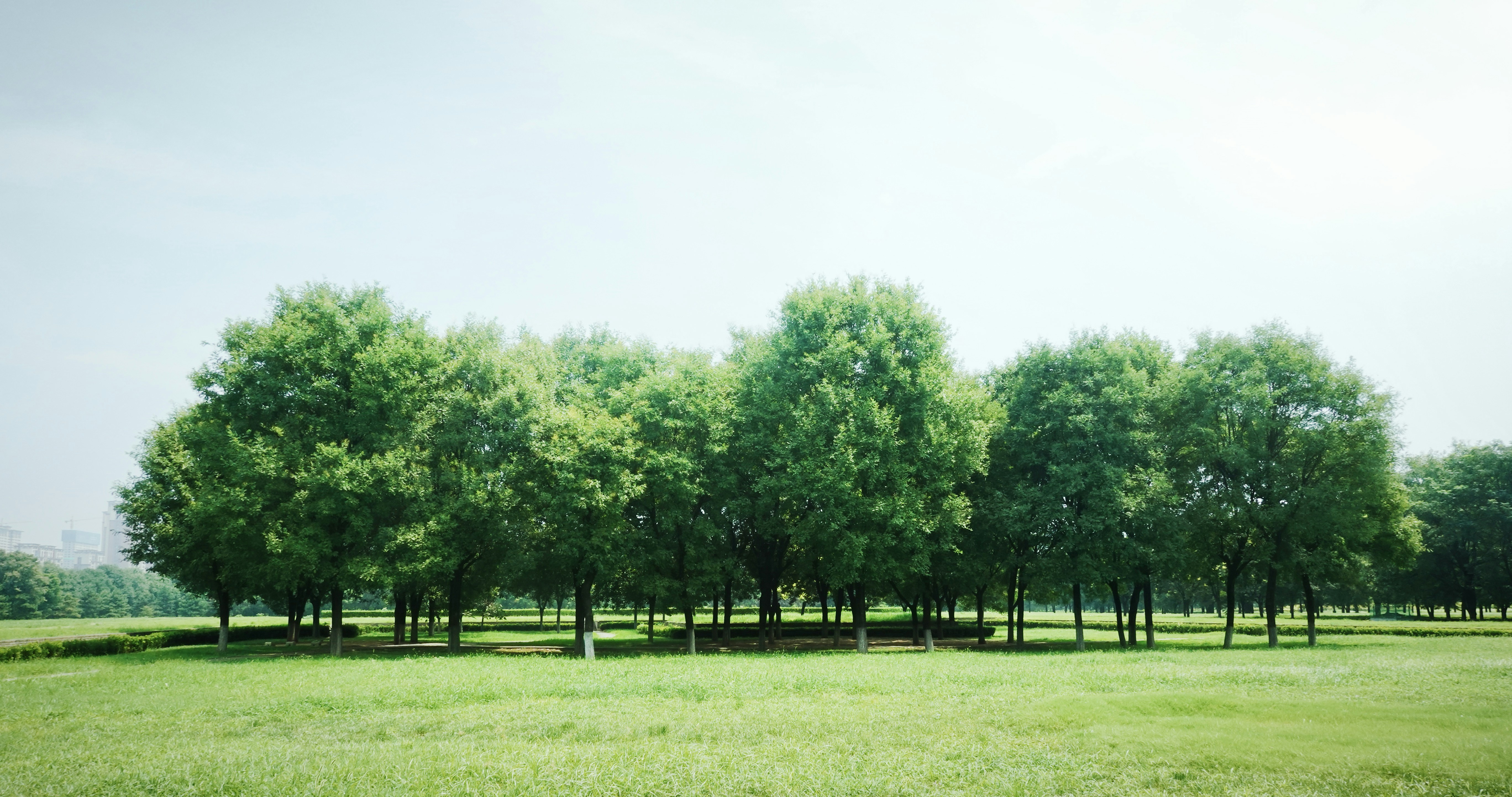 〇〇スパリゾートの露天風呂