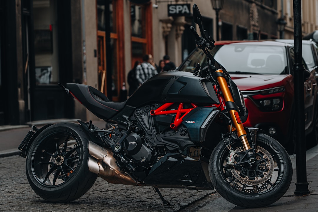 鎌倉のイタリアンレストランで提供される、彩り豊かな鎌倉野菜のサラダ