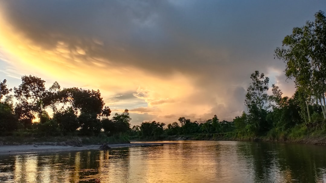 城下町のメインストリート、古い商家が並び、軒先に特産品が吊るされている様子