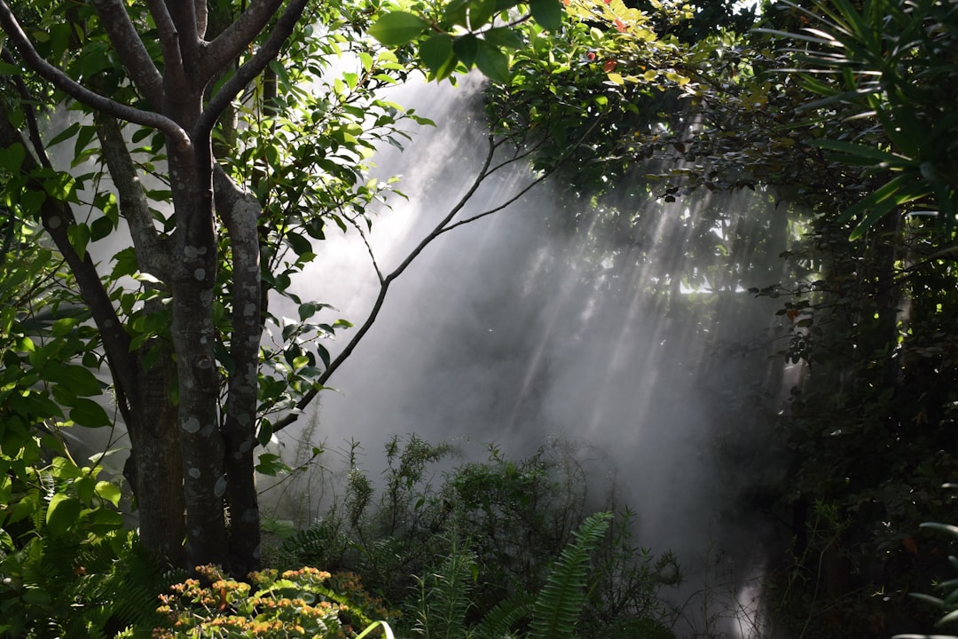 布引の滝（雄滝）を正面から捉えた写真